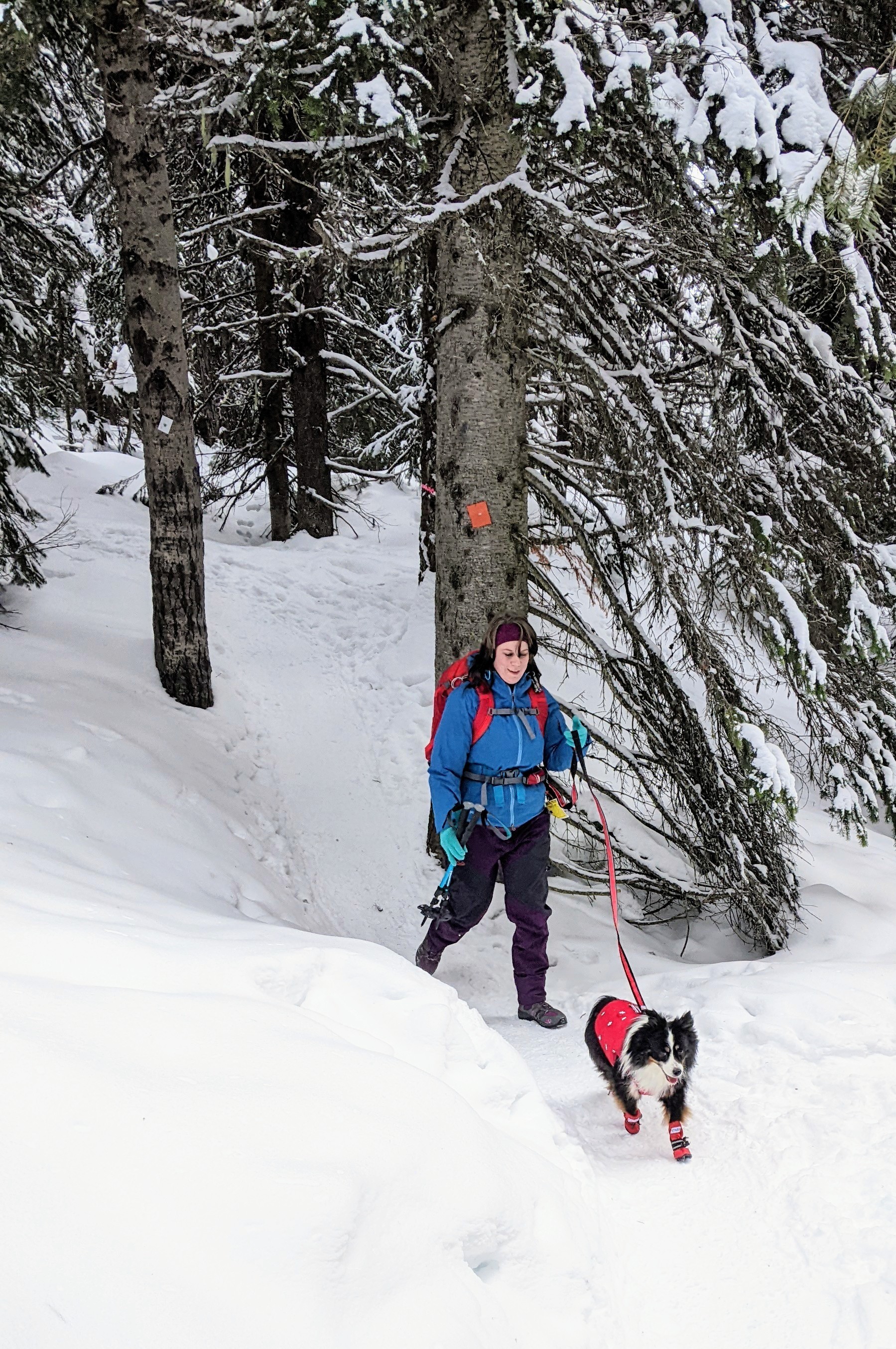 Girl and her dog run down a snow covered trail