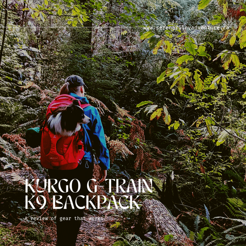 Kurgo G-Train K9&nbsp;Backpack