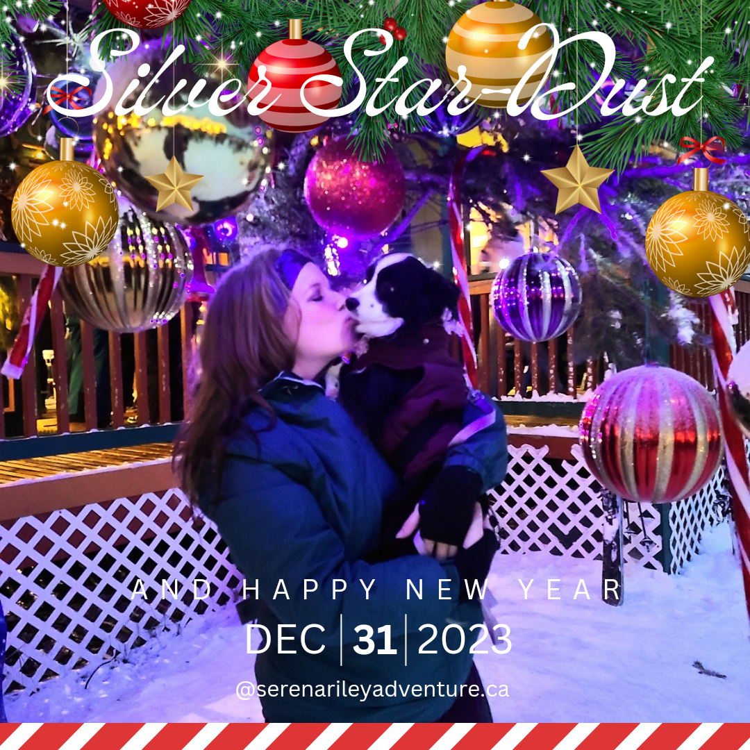 Silver Stardust: New Years Eve&nbsp;2023