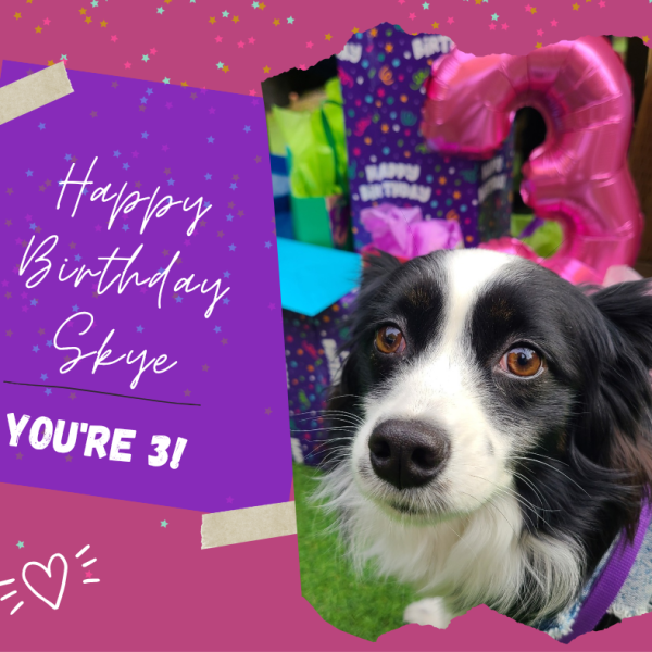 Happy Birthday, Skye!